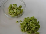 空豆は、皮から出して薄皮をむく。