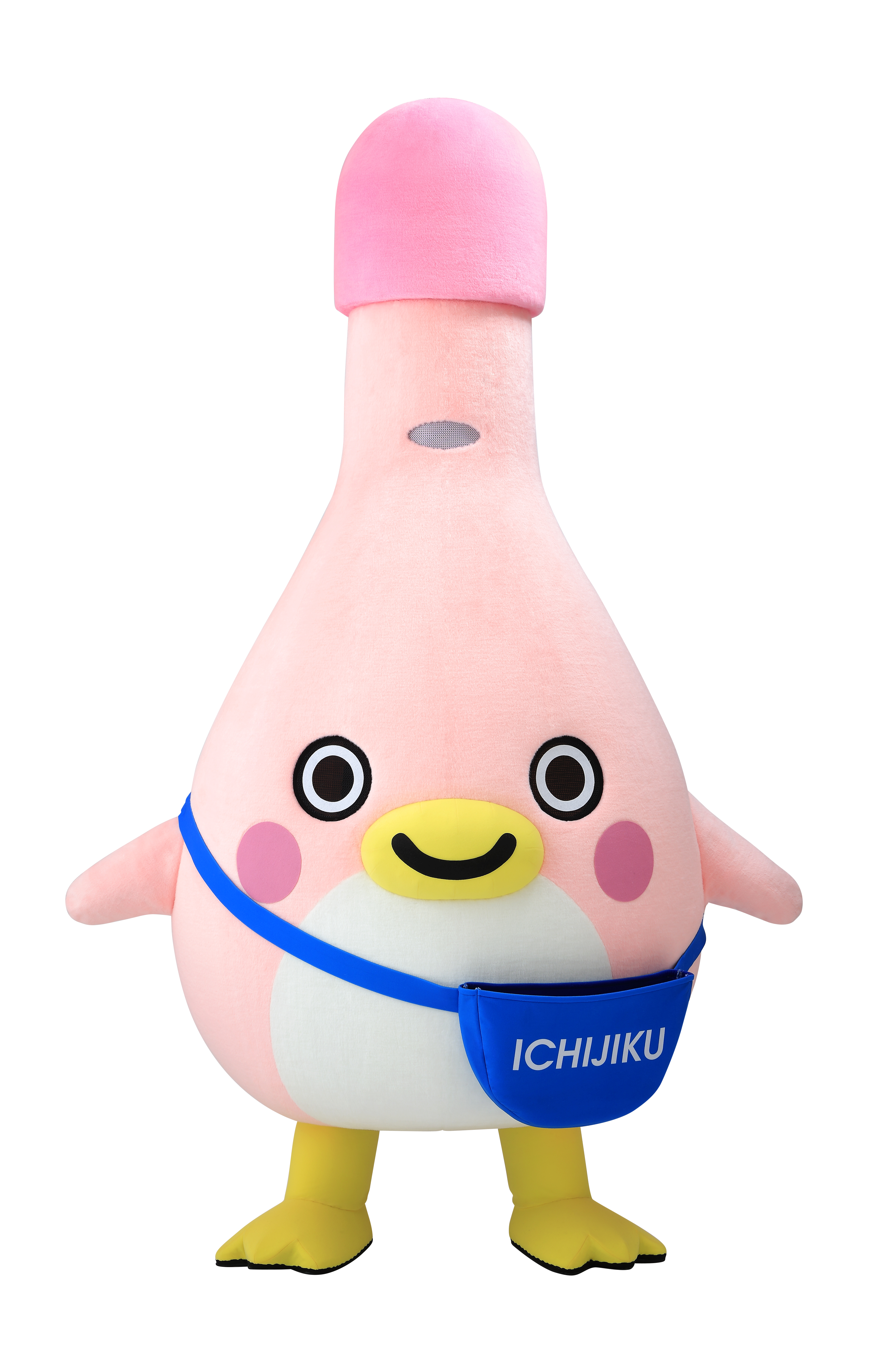 イチジク製薬親善大使　かんちゃん